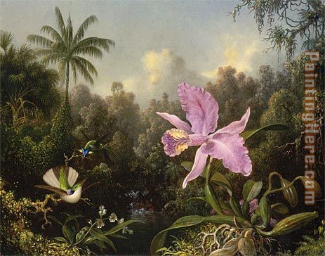 Martin Johnson Heade Orchid and Two Hummingbirds